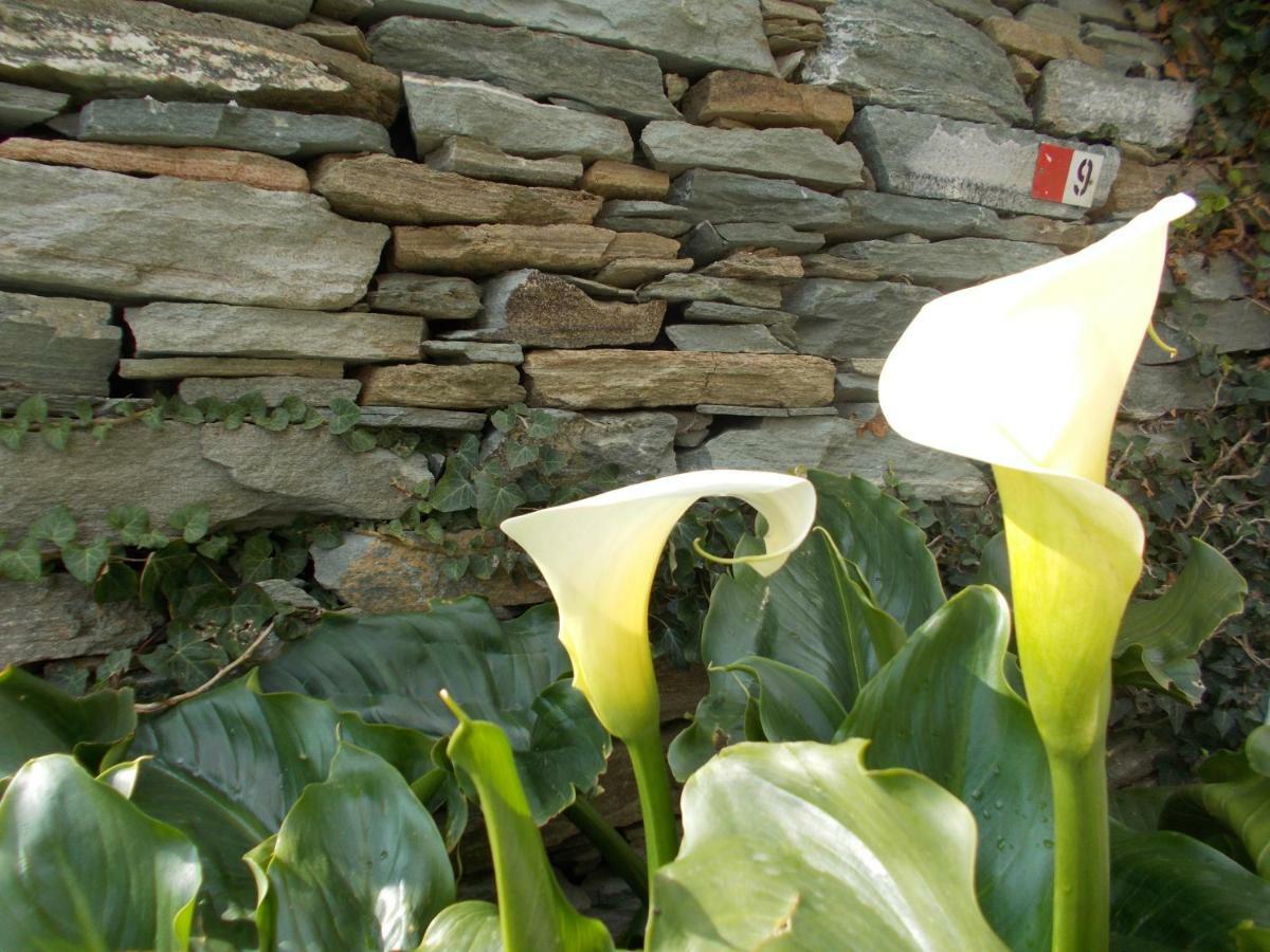 Cyclades Olive Museum'S Guest House Pitrofos 외부 사진